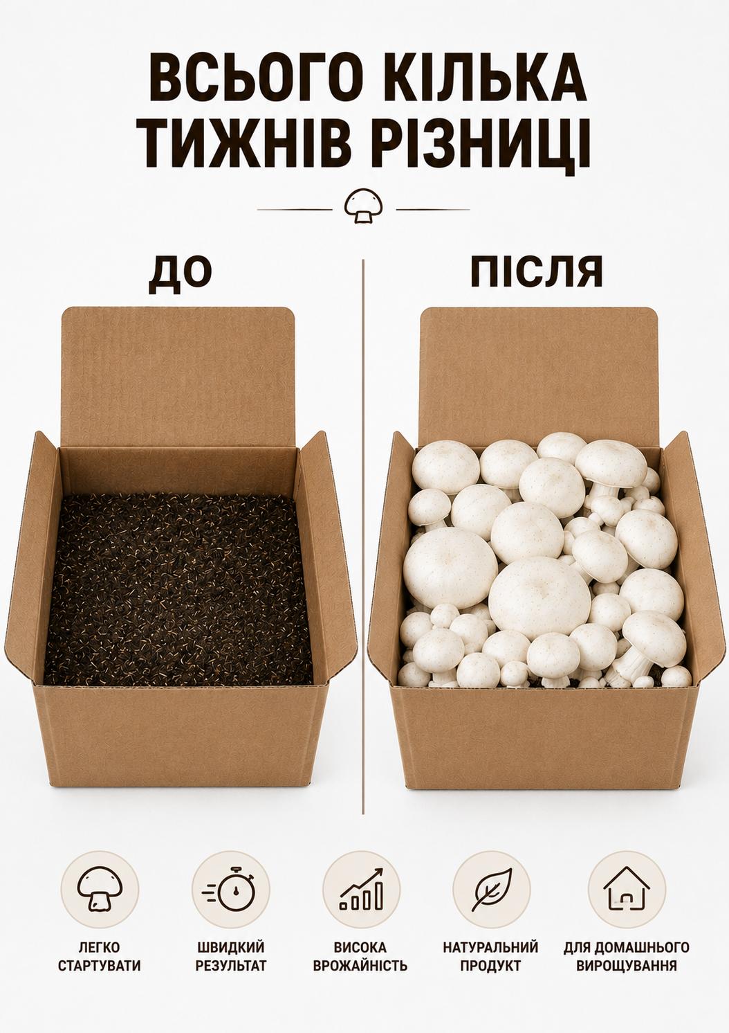 Портрет человека