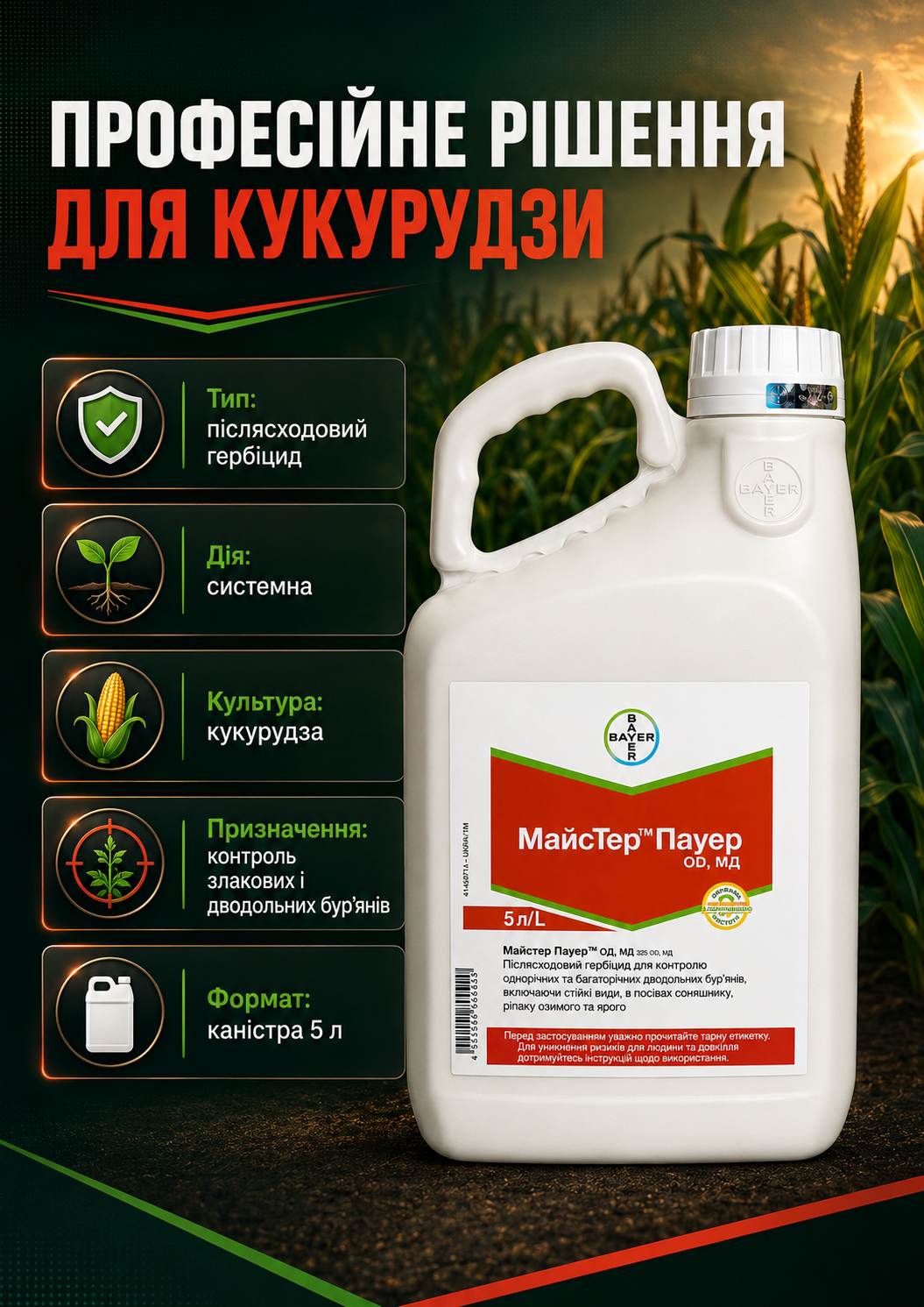 Портрет человека