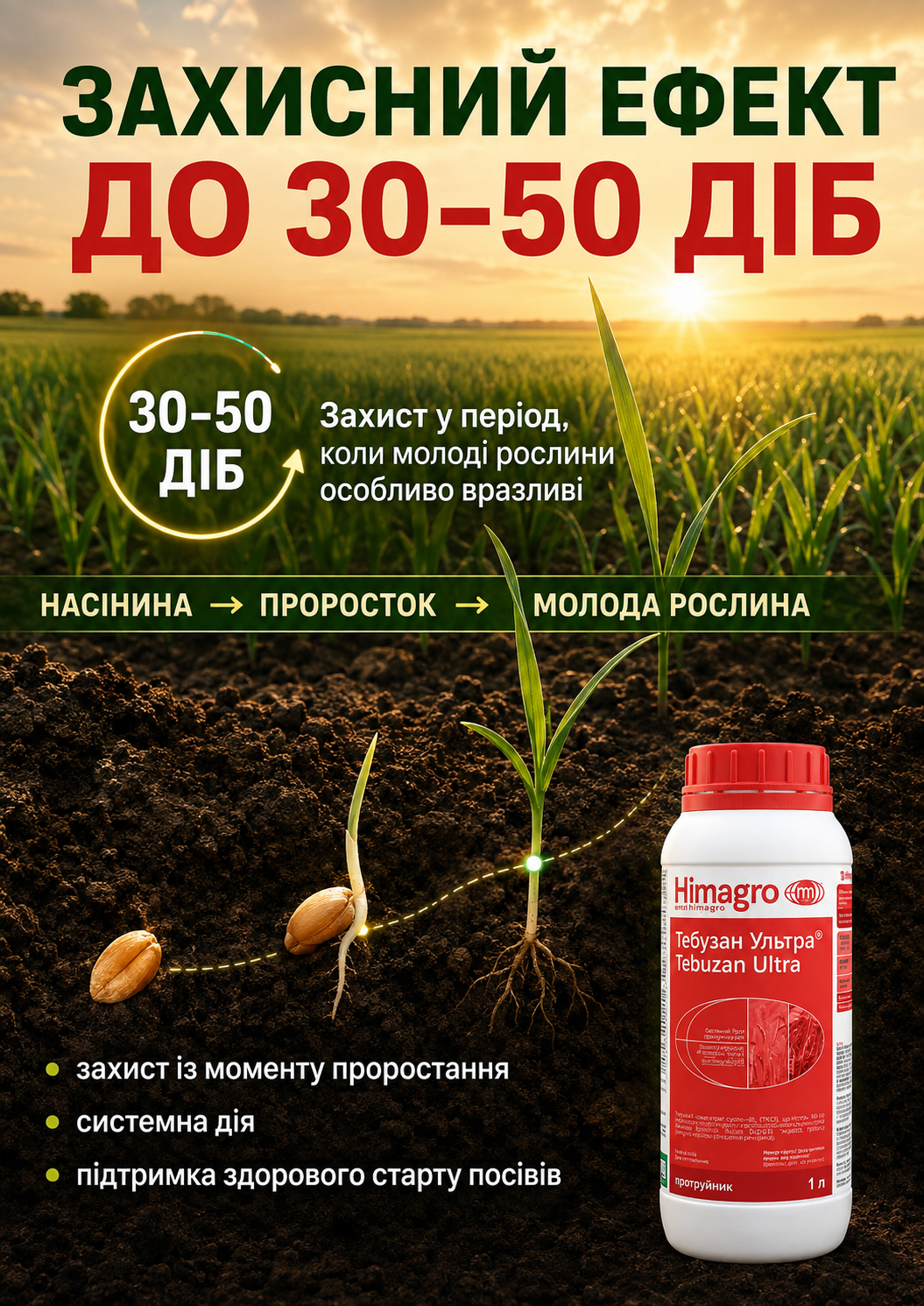 Портрет человека