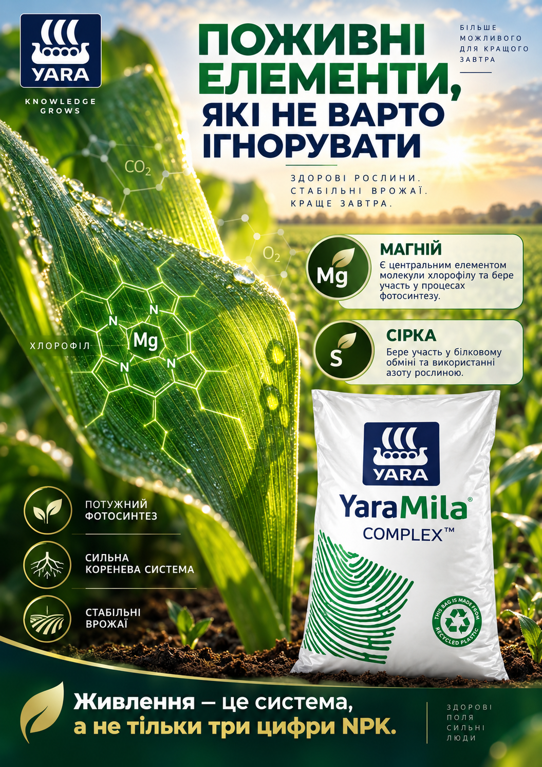 Портрет человека